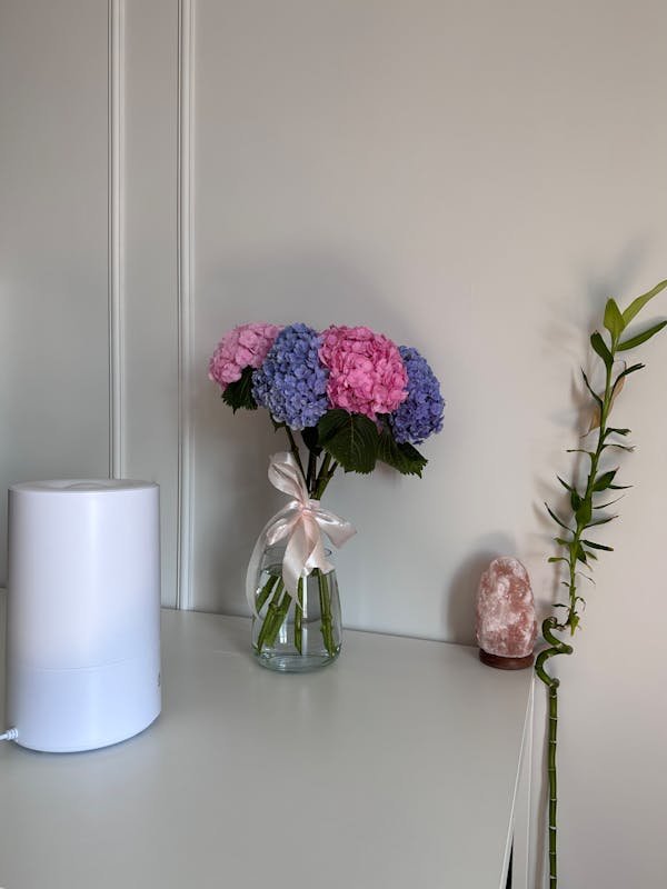 Louez un déshumidificateur à toulon et assainissez votre intérieur